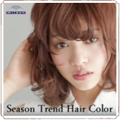 Season Trend Hair Color