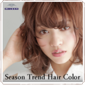 Season Trend Hair Color